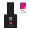 glo909675 fruit sorbet 61647