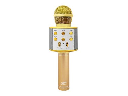Detský karaoke mikrofón LTC LXMIC100R Gold