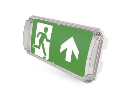 LED Núdzové svietidlo NESSI 4W 3H IP66