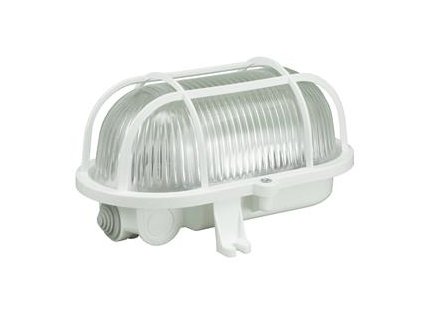 large 2021 08 07T071236.780