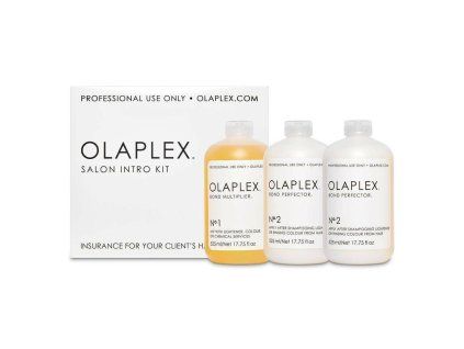salon intro kit