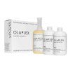 salon intro kit
