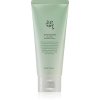 green plum refreshing cleanser 221104u