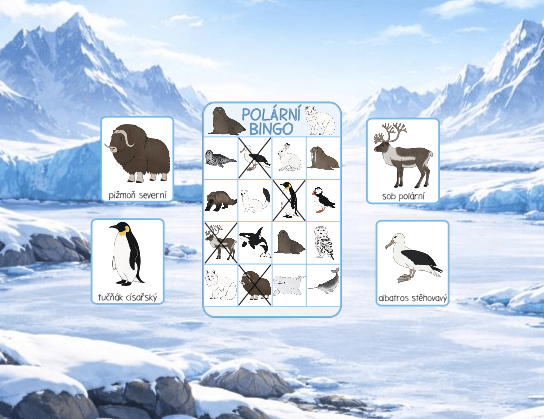 Nejčastější mýty o polárních zvířatech