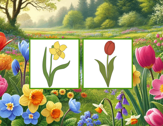 Jarní květinové pexeso, které procvičí paměť i znalost květin