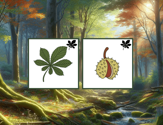 Oslavte s dětmi Den stromů!