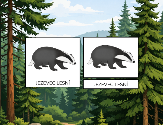 Co jsou třísložkové karty a jak je používat?