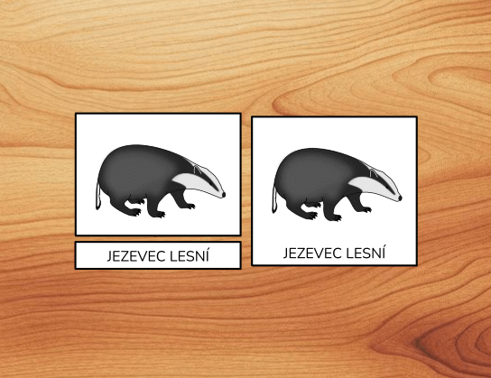 Co jsou třísložkové karty a jak je používat?