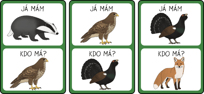 lesni-zvirata-jmkm