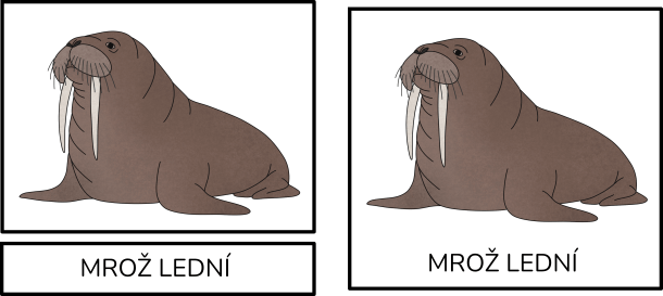 mroz-trislozkova-karta