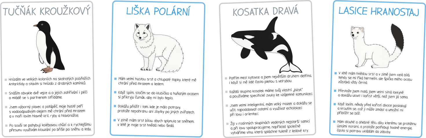 polarni-zvirata-karty