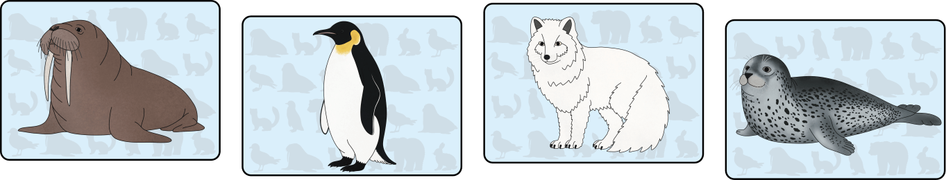 polarni-zvirata-karty_1