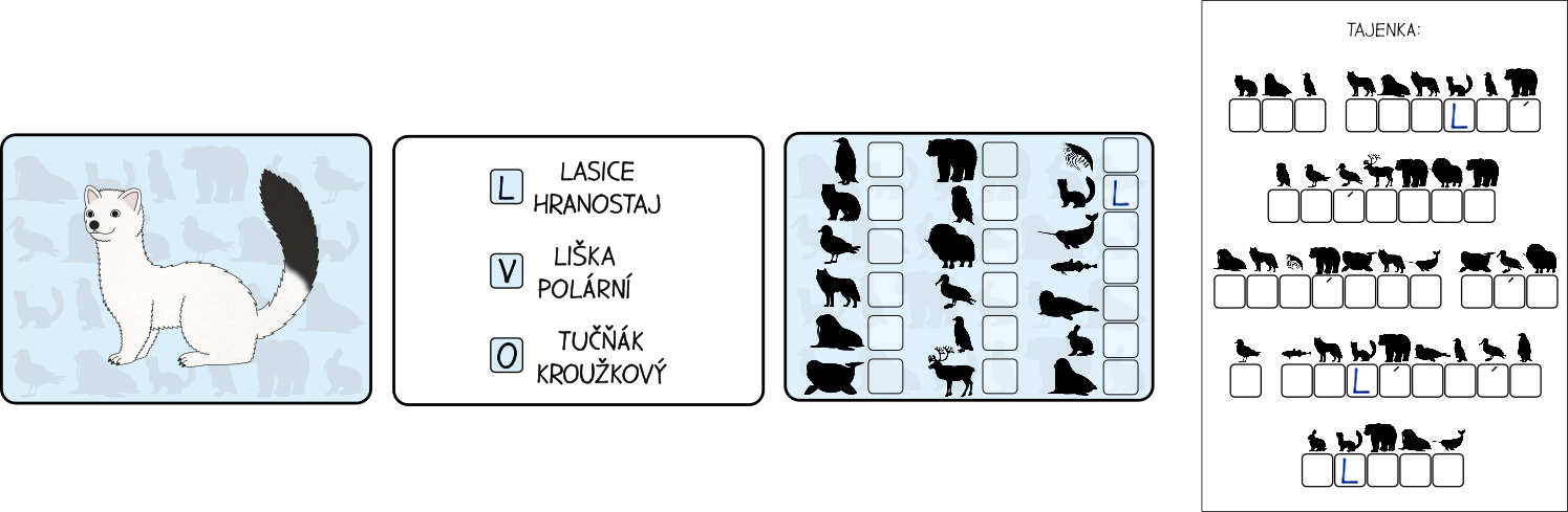 polarni-zvirata-tajenka