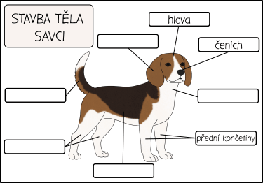 statek-casti-tela-zvirat