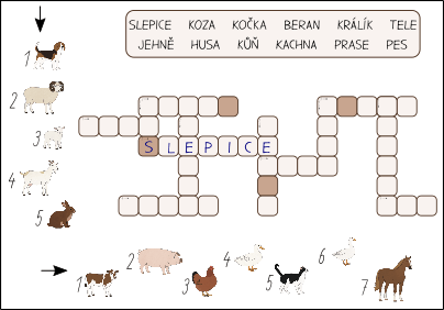 statek-krizovka