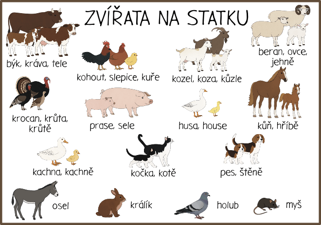 zvirata-na-statku-prehledova-karta
