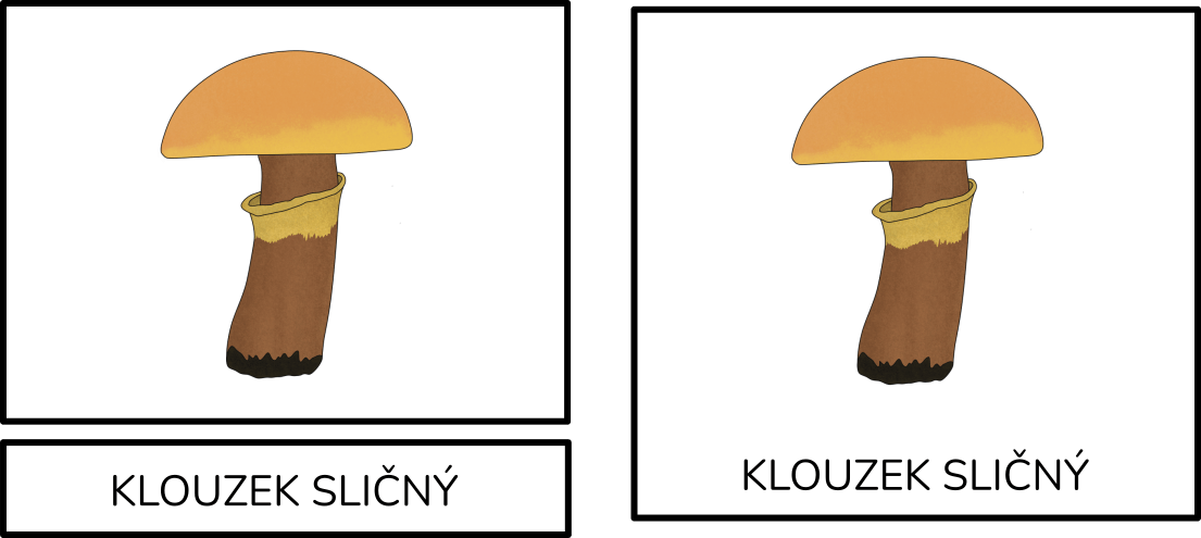 klouzek-trislozkove-karty