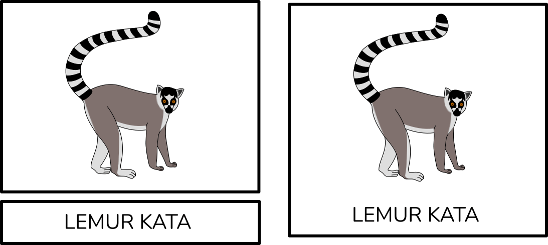 lemur-trislozkova-karty