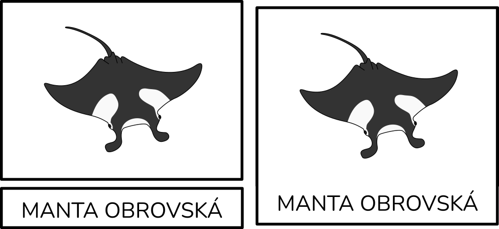 manta-obrovska-trislozkova-karta