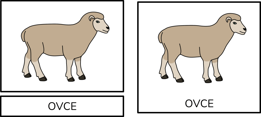 ovce-trislozkove-karty