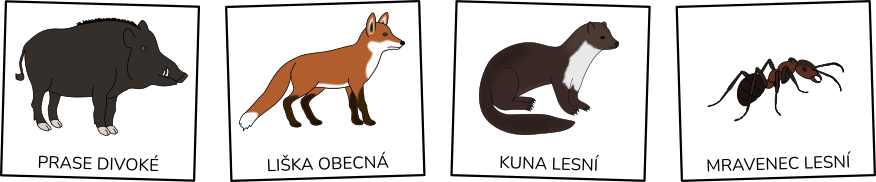 lesni-zvirata-karty-pro-deti
