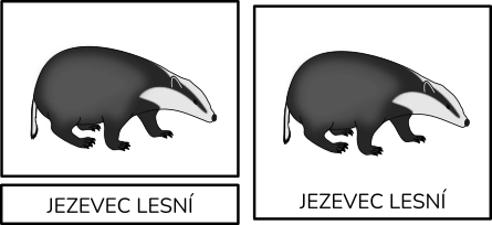 trislozkova-karta-jezevec