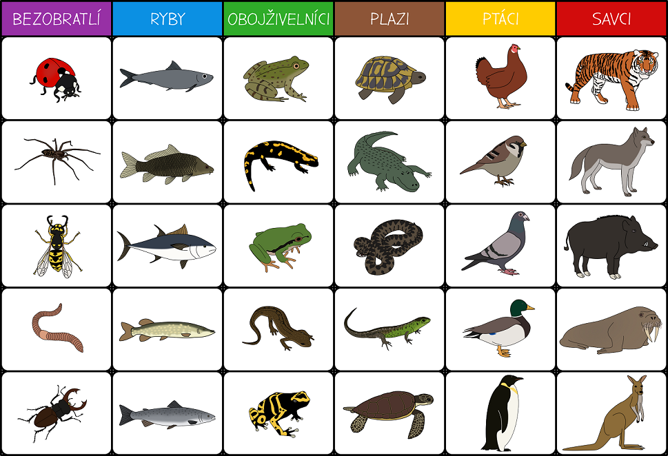 Jaká zvířata jsou savci?