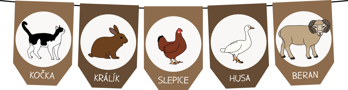 girlanda-statek-vlajecky