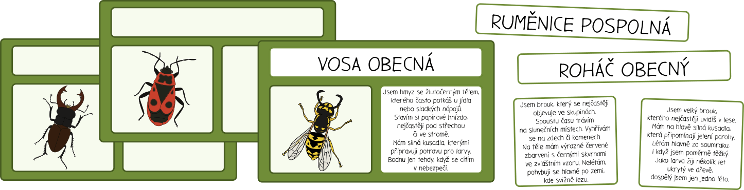 hmyz-cteni-s-porozumenim