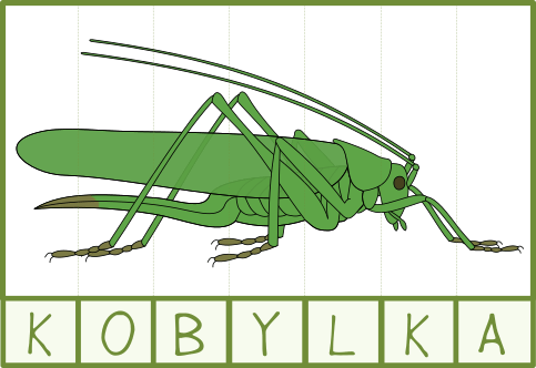 kobylka-skladacka