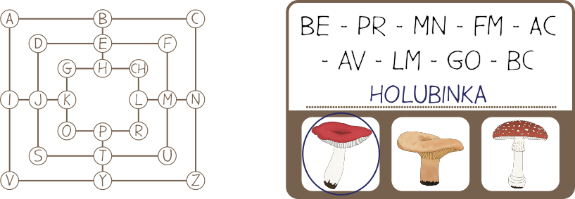 houby-prirodoveda-sifrovani-pro-deti