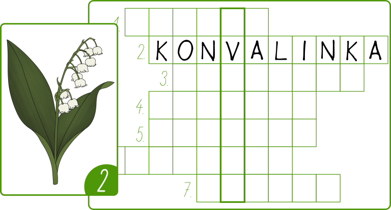 jarni-kvetiny-krizovka
