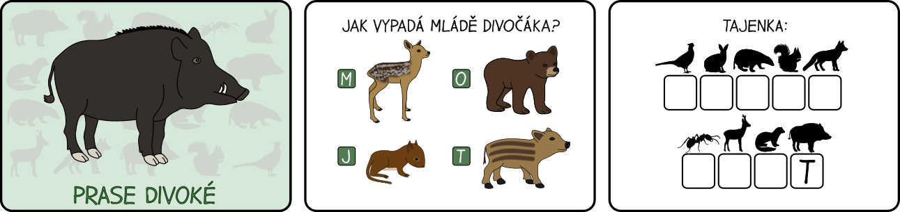 les-bojovka-s-tajenkou
