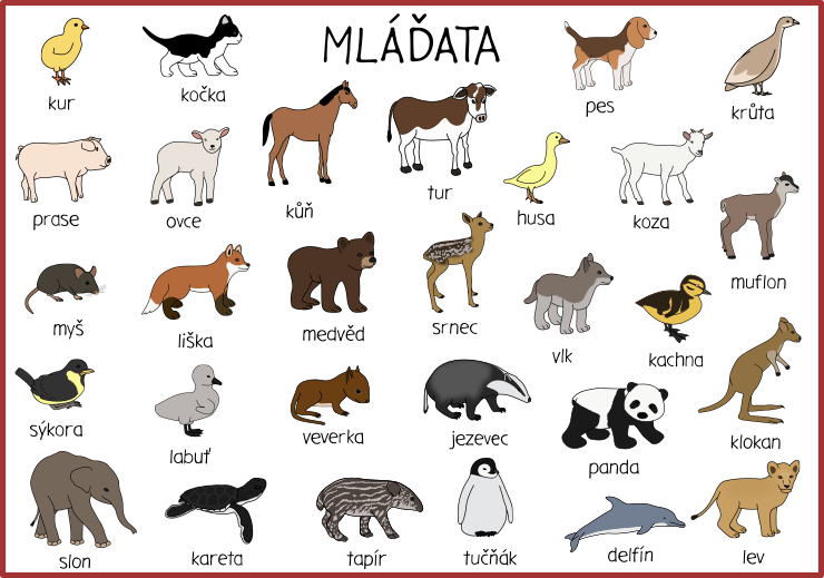mladata-obrazky