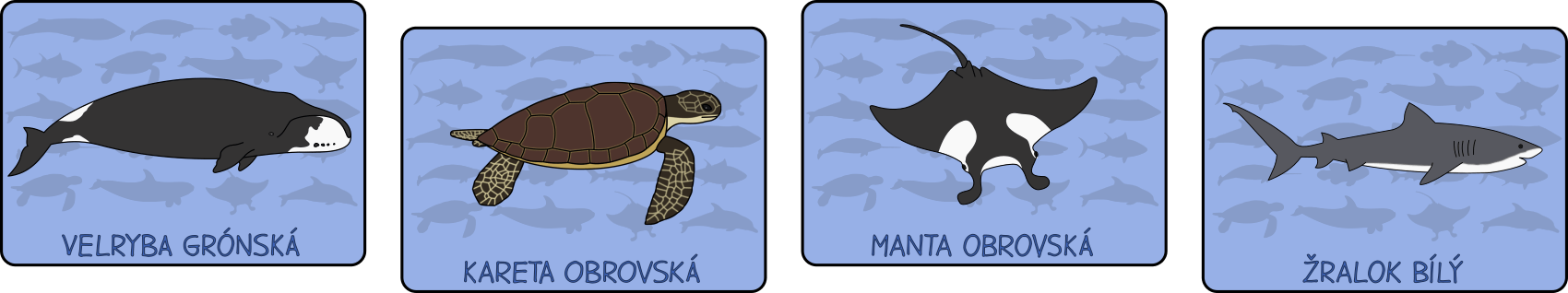 podmorsky-svet-bojovka-pro-deti
