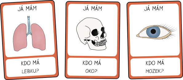 casti-lidskeho-tela-hra-pro-deti-ja-mam-kdo-ma
