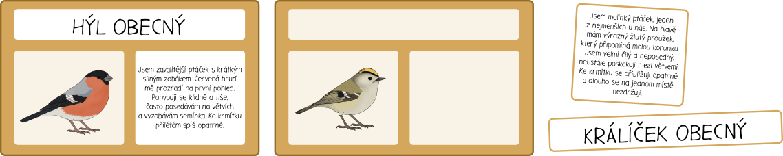 ptaci-na-krmitku-cteni-s-porozumenim
