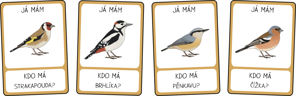 ptaci-na-krmitku-ja-mam-kdo-ma