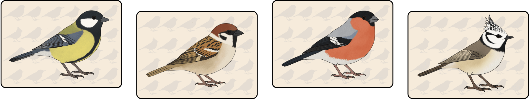 ptaci-na-krmitku-karty