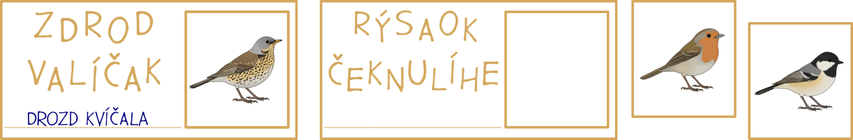 ptaci-na-krmitku-presmycky