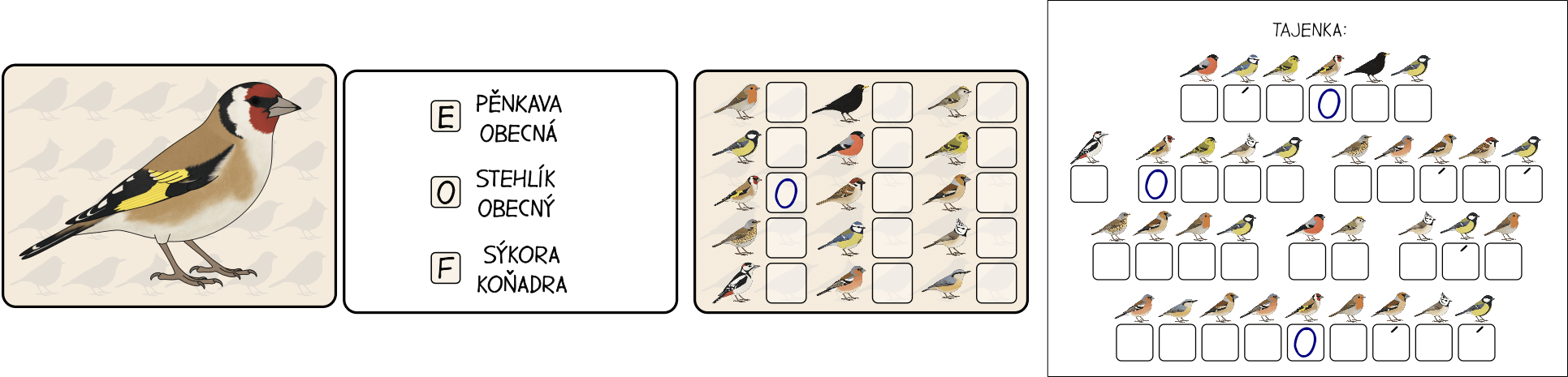 ptaci-na-krmitku-tajenka