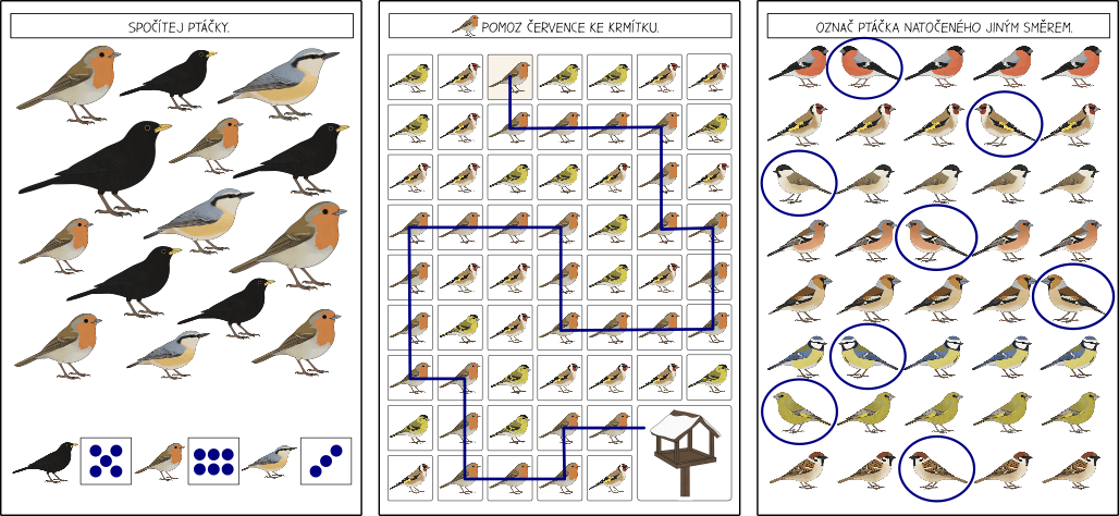 ptaci-pracovni-listy-pro-predskolaky