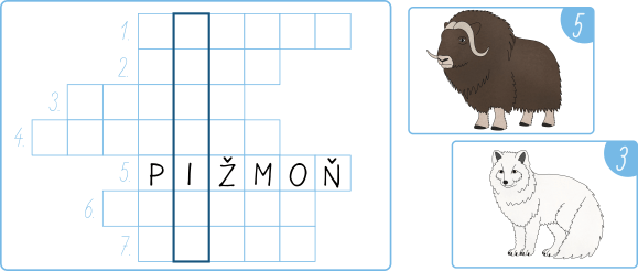polarni-zvirata-obrazkova-krizovka-pro-deti