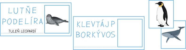 polarni-zvirata-presmycky