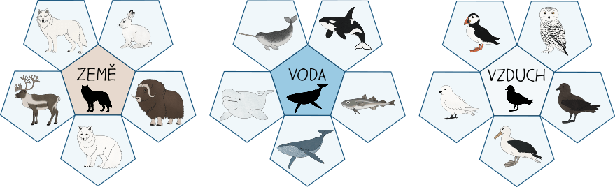 polarni-zvirata-zeme-voda-vzduch