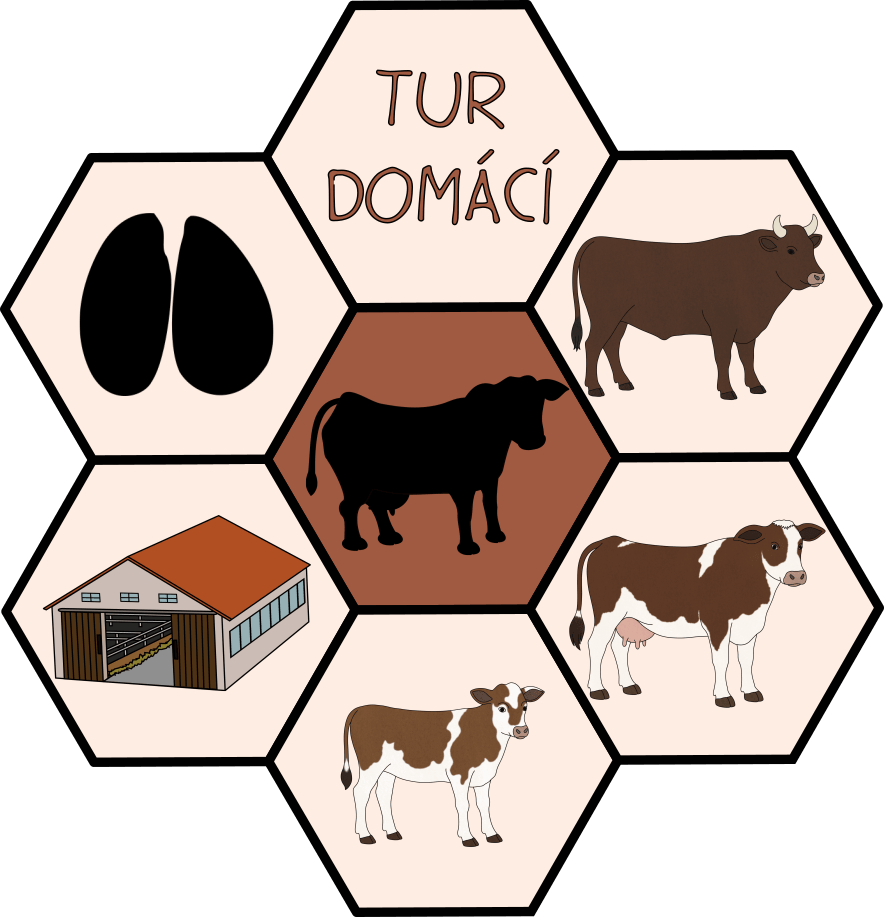 Domácí zvířata - hexagonové karty pro děti