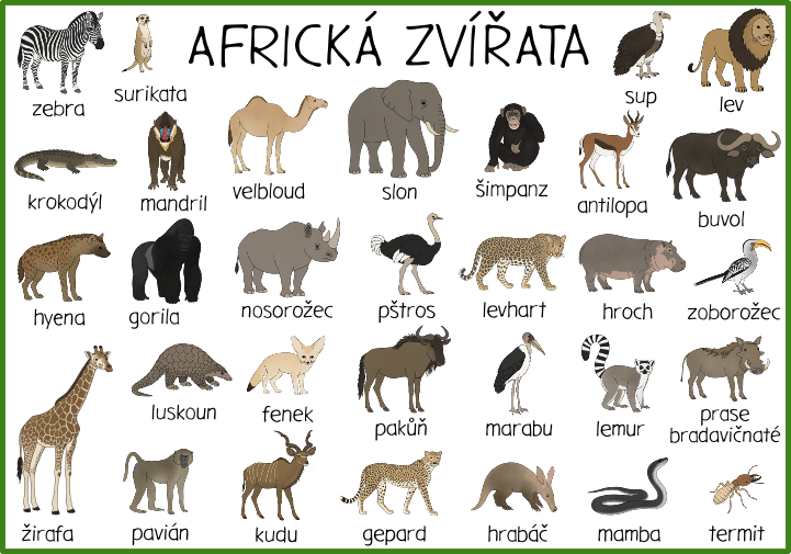 Přehled obrázků