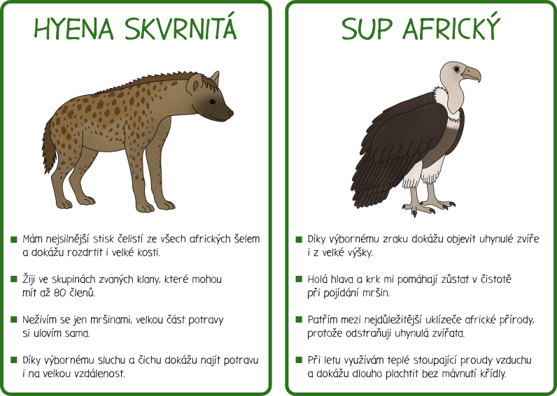 Informační karty Zvířata africké savany