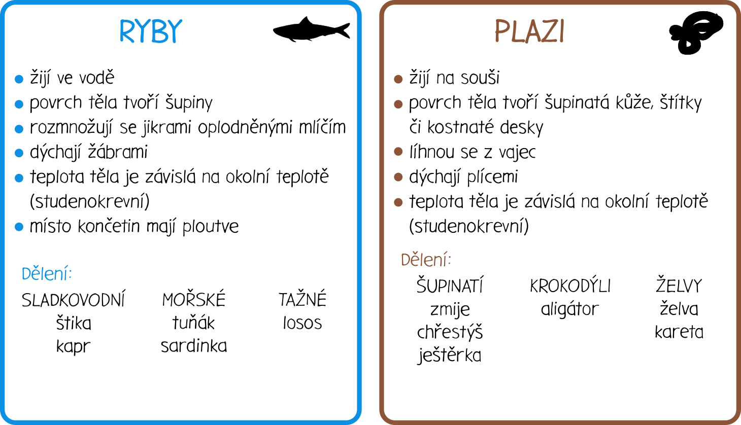 Dělení živočichů – obrázkové karty