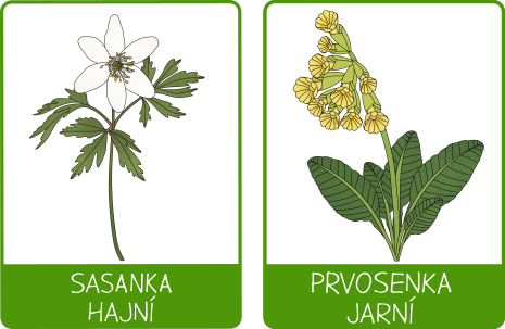 Jarní květiny - práce s kartami